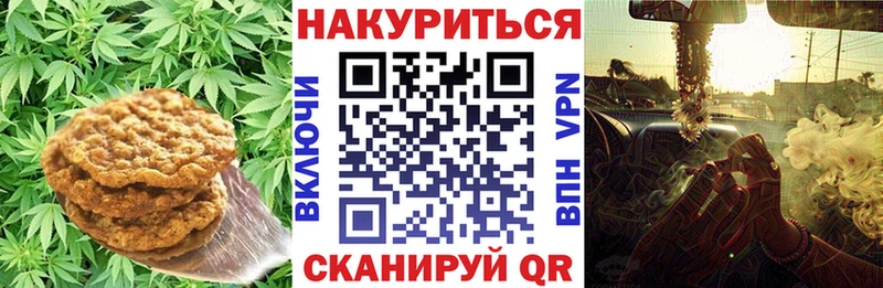 продажа наркотиков  ссылка на мегу ТОР  Печенье с ТГК марихуана  Тбилисская 