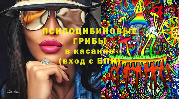 mdpv Туринск