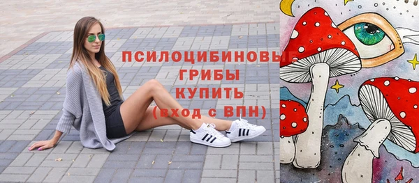 mdpv Туринск