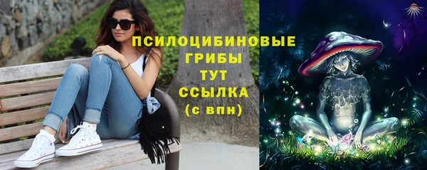 mdpv Туринск