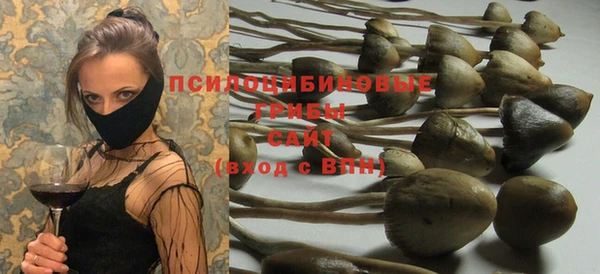 mdpv Туринск